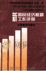 新国民经济核算工作手册 1996 PDF电子版封面 7541512281 云南省国民经济核算办公室编