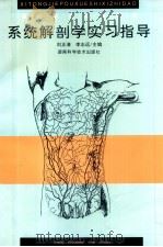 高等医药院校教材  系统解剖学 实习指导第1版   1997  PDF电子版封面  7535722377  刘正清，李志远主编 