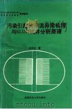 污染引起的渗流异常机理与SLUG试井分析原理 1993 PDF电子版封面 7561626983 冯文光著