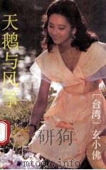 天鹅与风筝   1990  PDF电子版封面  7536006209  玄小佛著 