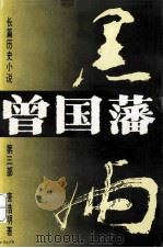黑雨 1992 PDF电子版封面 7540408790 唐浩明著