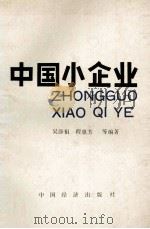中国小企业 1991 PDF电子版封面 7501704376 吴添祖,程惠芳等编著