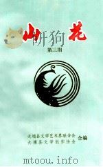 山花  第3期（1995 PDF版）