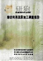 石灰石矿白云石矿  综合利用及深加工调查报告（ PDF版）