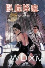 卧底降魔 1993.08 PDF电子版封面 桑桑著