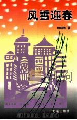 风雪迎春   1999  PDF电子版封面  7806125655  唐晓波著 
