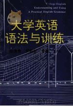 大学英语语法与训练   1994  PDF电子版封面  7561629575  陈清贵，罗能权，李超主编 