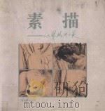 素描 从眼睛到心灵 1996 PDF电子版封面 7806250050 马刚等绘