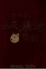 广东兴宁王氏族谱 第五分卷 1997 PDF电子版封面 兴宁王氏族谱编纂委员会栅里分谱编写小组编