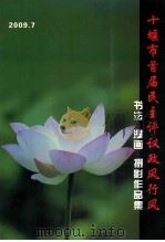 十堰市首届民主评议政风行风书法 漫画 摄影作品集 PDF电子版封面