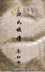易氏族谱  卷20  中（ PDF版）