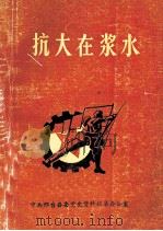 抗大在浆水 PDF电子版封面 宋学玲主编