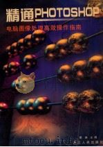精通PHOTOSHOP 电脑图像处理高效操作指南 1998 PDF电子版封面 7213017055 周涛主编