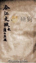 合江文艺 卷2 PDF电子版封面
