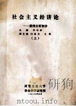 社会主义经济论 数理分析初步 上 1989 PDF电子版封面 乔宗寿主笔