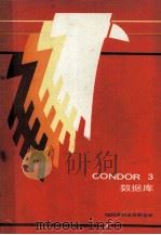 condor 3 数据库 PDF电子版封面
