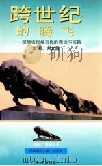 跨世纪的腾飞  深圳农村城市化的理论与实践   1994  PDF电子版封面  7800687511  刘文韶主编；涂成林，何广林副主编 