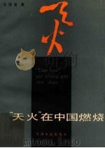 “天火”在中国燃烧 1984 PDF电子版封面 3072·610 王观泉著