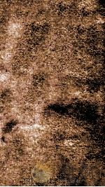 金史 本纪 卷16-21 1874 PDF电子版封面 (元)托克托等撰