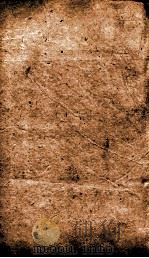 金史  列传  卷124-129（1874 PDF版）