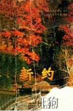 新约 PDF电子版封面
