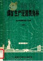 煤矿生产经营费指标 竖井单绳罐笼提升分册 试用 PDF电子版封面