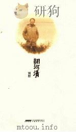 胡河清别册 PDF电子版封面 胡河清著