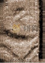 恩平县志  卷19-20（ PDF版）