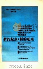 新的起点 1995 PDF电子版封面 7806010416 施大光著