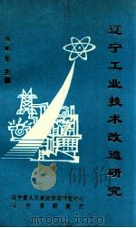 辽宁工业技术改造研究 1993 PDF电子版封面 刘明朗主编;戴明义,齐建珍,刘万清,邱恒济,成刚副主编