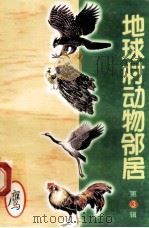 地球村动物邻居  第3辑  8  鹰（1998 PDF版）