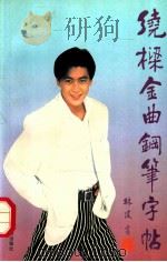 绕梁金曲钢笔字帖   1993  PDF电子版封面  7805214514  林建书 