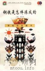 钢铁是怎样炼成的   1999  PDF电子版封面  7801462009  费孝通总顾问；季羡林总主编；柳斌副总主编；刘以林主编；（苏） 