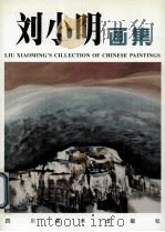 刘小明画集 1998 PDF电子版封面 7541013854 刘小明绘