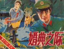 婚典之际 1988 PDF电子版封面 7535602193 许焕岗编文;章朋傅,如许绘画