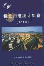 锦北街道统计年鉴2013 PDF电子版封面 临安市锦北街道办事处编