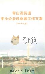 青山湖街道中小企业创业园工作方案（2008年度）     PDF电子版封面     