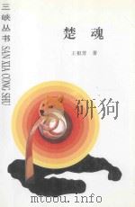 楚魂 1997 PDF电子版封面 7206023312 王祖芳著