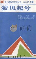猇风起兮 1994 PDF电子版封面 7541810843 善良,元刚著