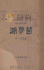 茵梦湖 世界名家小说 1928 PDF电子版封面 (德)施笃谟著;郭沫若,钱君胥译