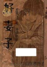 好妻子 1937 PDF电子版封面 亚尔珂德著;杨振华译