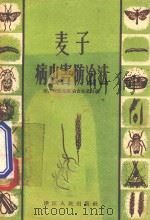 麦子病虫害防治法 1956 PDF电子版封面 T16103·31 浙江省农业厅粮食生产处编著