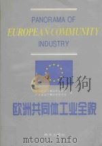 欧洲共同体工业全貌 1993 PDF电子版封面 7805428905 中国进出口商品检验协会,广东进出口商品检验协会译