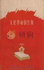 文化革命的红旗   1960  PDF电子版封面  T3103·350  浙江人民出版社编 