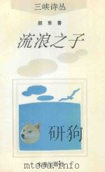 流浪之子 1993 PDF电子版封面 7805556776 颜东著