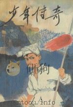少年传奇 1991 PDF电子版封面 7800538966 胡怀群著