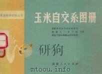 农业科学试验丛书 玉米自交系图册 1977 PDF电子版封面 16098·9 新疆维吾尔自治区农林局,新疆八一农学院,新疆自治区南疆玉米原