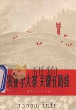 农业学大寨关键在路线   1972  PDF电子版封面  71136  浙江人民出版编辑 