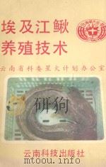 埃及江鳅养殖技术 1990 PDF电子版封面 7541603007 云南省理科委星火计划办公室编