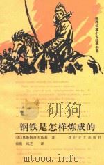 钢铁是怎样炼成的 1996 PDF电子版封面 7806113347 (苏)奥斯特洛夫斯基著;仰熙,凤芝译